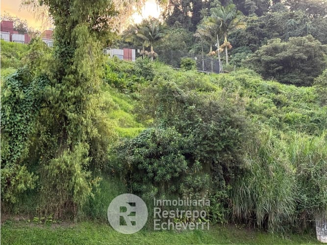 Lote en venta en Avenida Kevin Angel, Manizales, 3143 m² · foto 3 de 4