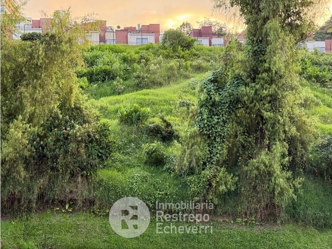 Lote en venta en Avenida Kevin Angel, Manizales, 3143 m² · foto 4 de 4