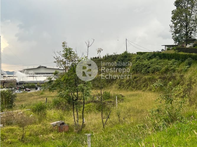 Lote en arriendo en Malteria, Manizales, 5500 m² · foto 2 de 7