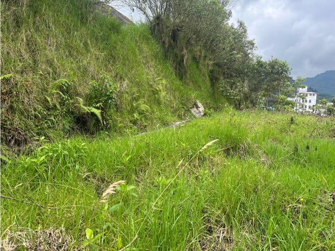 Lote en venta en Malteria, Manizales, 40000 m² · foto 12 de 13