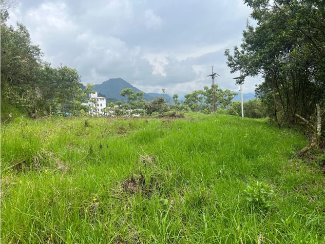 Lote en venta en Malteria, Manizales, 40000 m² · foto 13 de 13