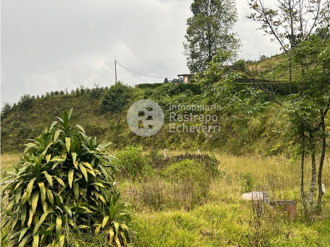 Lote en arriendo en Malteria, Manizales, 5500 m² · foto 7 de 7
