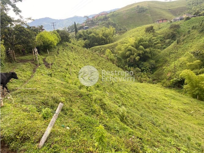 Lote en venta en San Fernando, Dosquebradas, 40000 m² · foto 3 de 14
