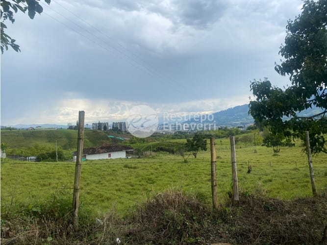 Lote en venta en San Fernando, Dosquebradas, 40000 m² · foto 7 de 14