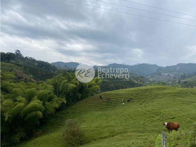 Lote en venta en San Fernando, Dosquebradas, 40000 m² · foto 8 de 14