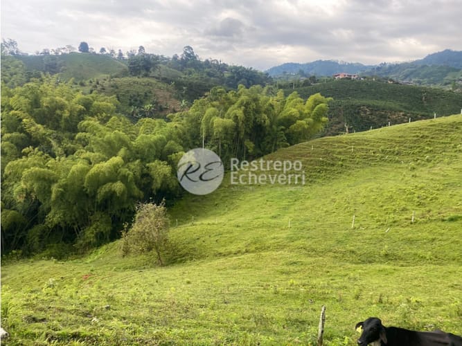 Lote en venta en San Fernando, Dosquebradas, 40000 m² · foto 12 de 14