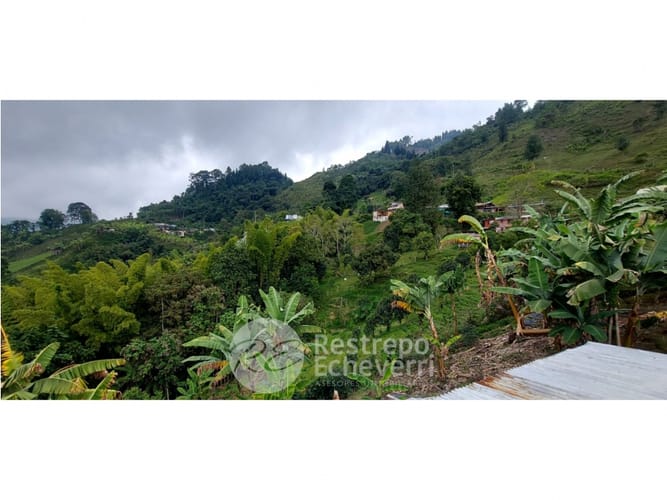 Finca en venta en Alto Bonito, Manizales, 1780 m² · foto 4 de 16