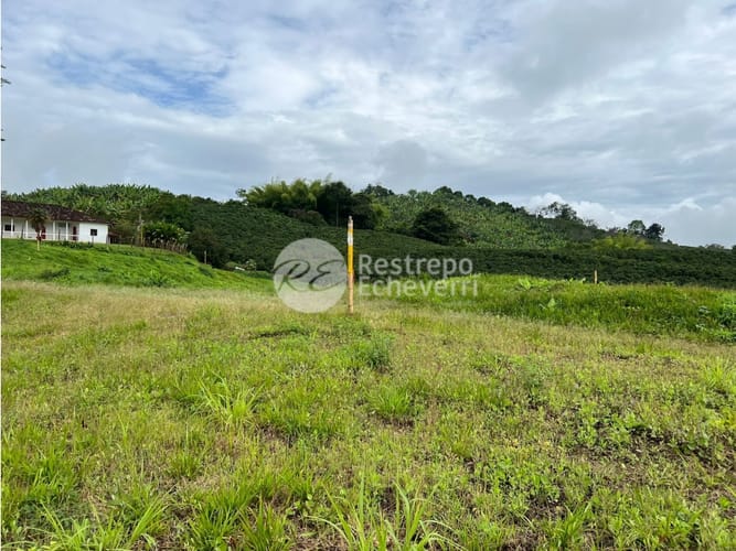 Lote en venta en La Trinidad, Manizales, 1973 m² · foto 2 de 24