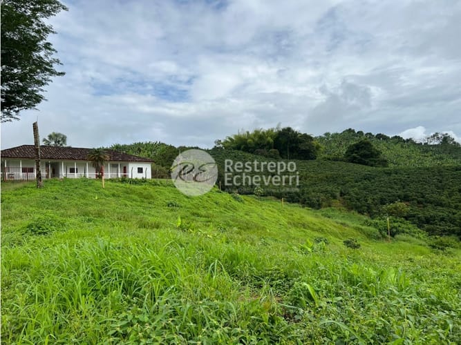Lote en venta en La Trinidad, Manizales, 1973 m² · foto 14 de 24