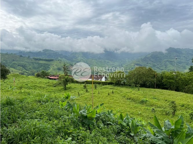 Lote en venta en La Trinidad, Manizales, 1973 m² · foto 18 de 24