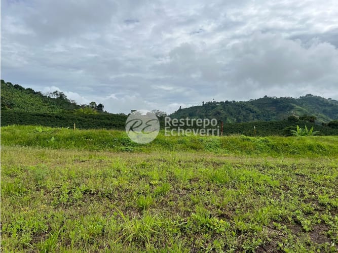 Lote en venta en La Trinidad, Manizales, 1973 m² · foto 20 de 24