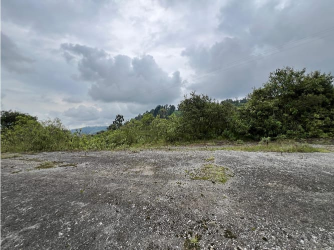 Lote en arriendo en Malteria, Manizales, 40000 m² · foto 9 de 12