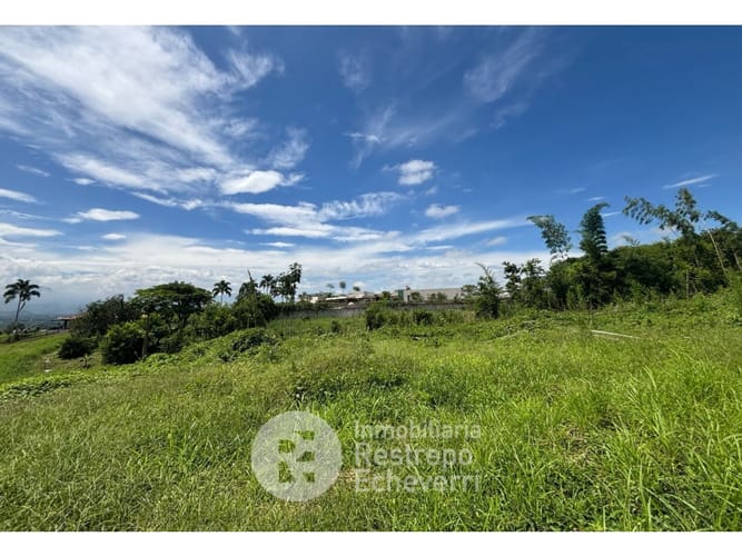 Lote en venta en Cerritos, Pereira, 4000 m² · foto 3 de 3