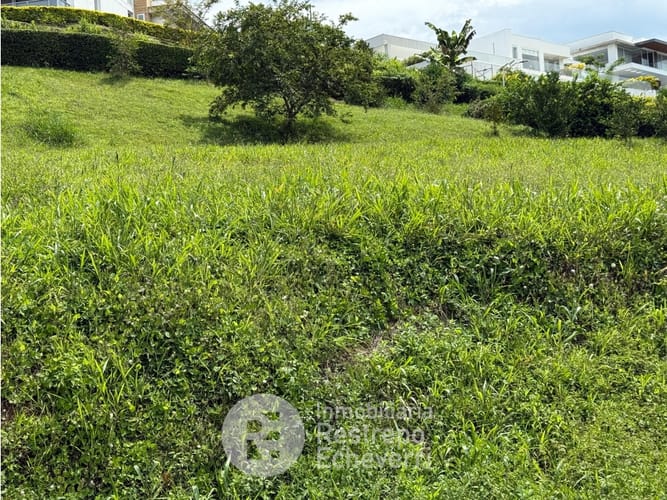 Lote en venta en El Rosario, Manizales, 1800 m² · foto 2 de 5
