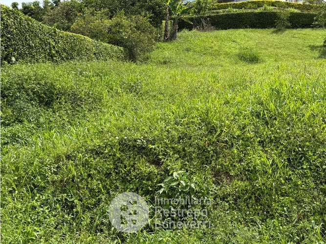 Lote en venta en El Rosario, Manizales, 1800 m² · foto 4 de 5