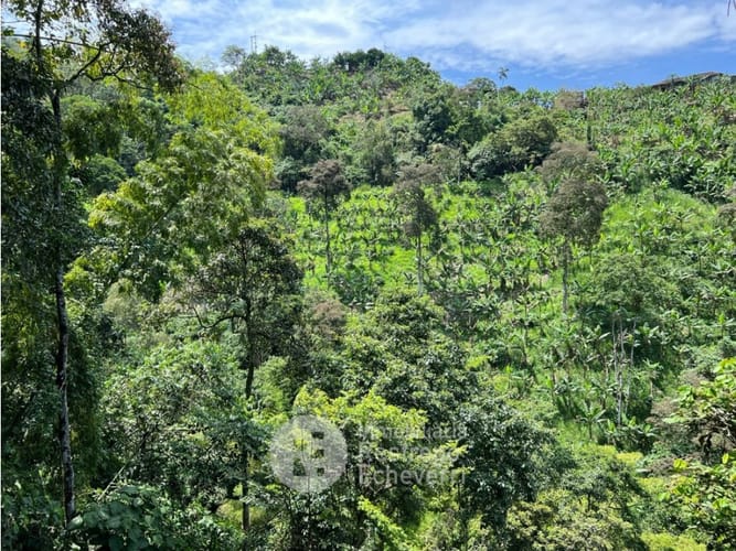 Finca en venta en La Cabaña, Manizales, 620 m² · foto 5 de 24