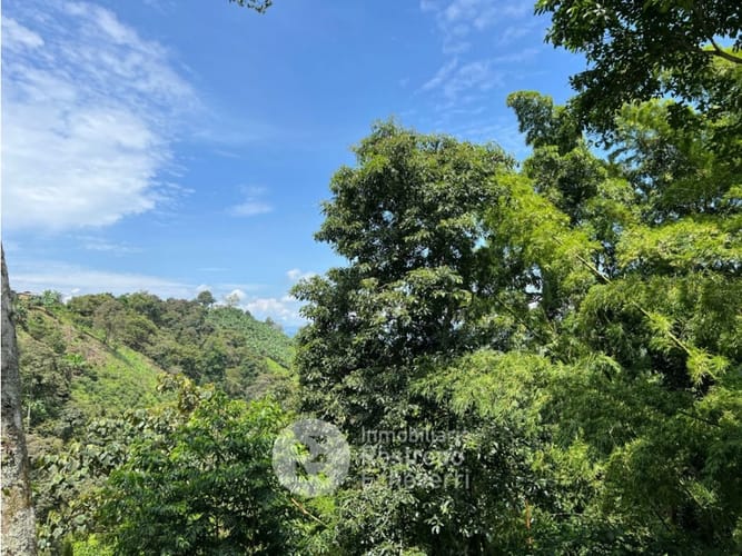 Finca en venta en La Cabaña, Manizales, 620 m² · foto 6 de 24