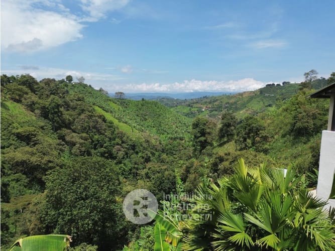 Finca en venta en La Cabaña, Manizales, 620 m² · foto 10 de 24