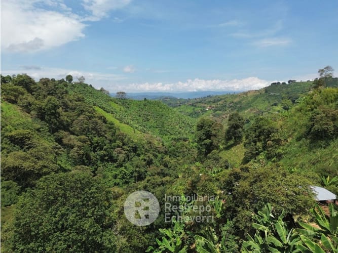 Finca en venta en La Cabaña, Manizales, 620 m² · foto 11 de 24