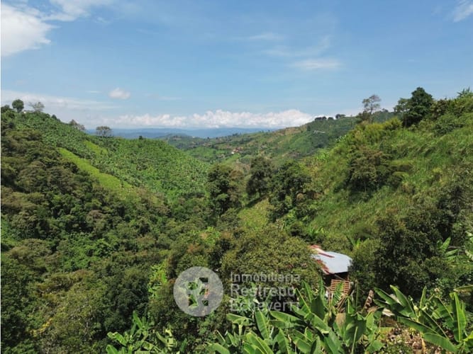 Finca en venta en La Cabaña, Manizales, 620 m² · foto 13 de 24
