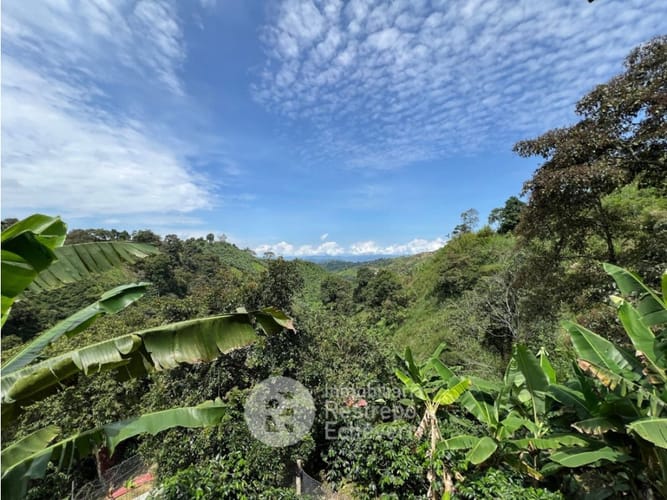 Finca en venta en La Cabaña, Manizales, 620 m² · foto 15 de 24