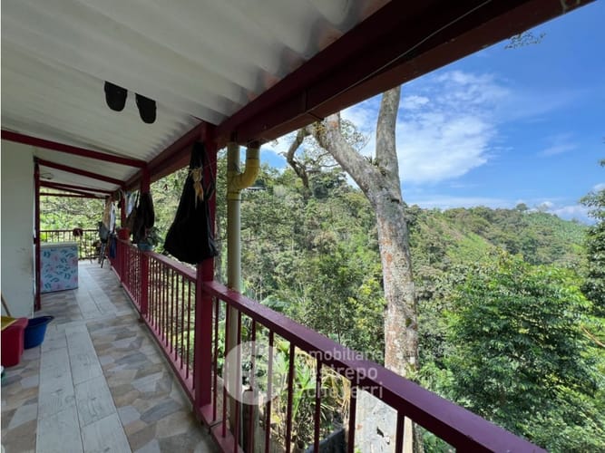 Finca en venta en La Cabaña, Manizales, 620 m² · foto 23 de 24