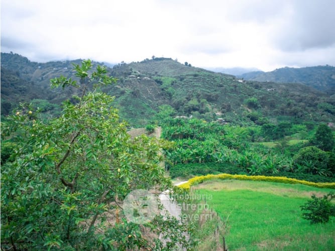 Finca en venta en La Cabaña, Manizales, 493 m² · foto 3 de 21