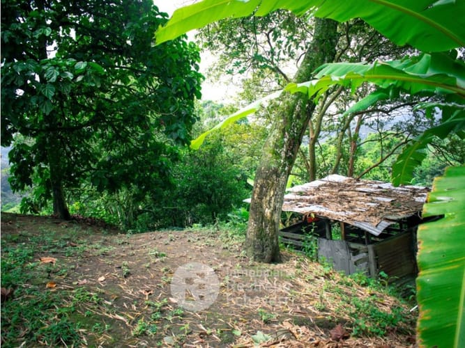 Finca en venta en La Cabaña, Manizales, 493 m² · foto 21 de 21