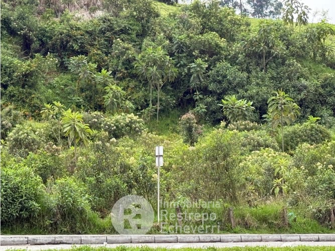 Lote en venta en Malteria, Manizales, 11925 m² · foto 2 de 4