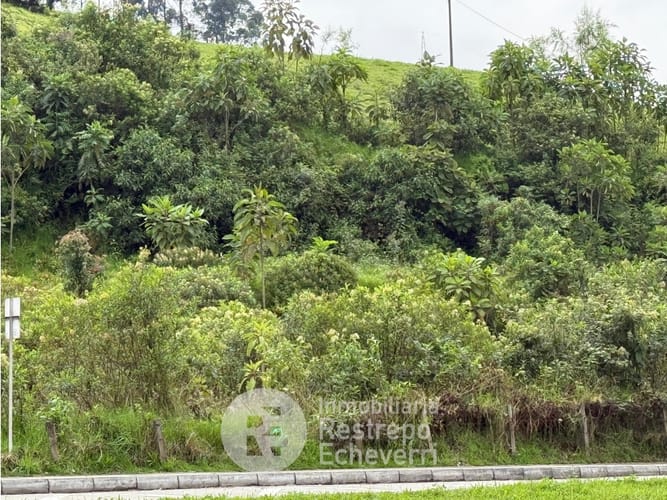 Lote en venta en Malteria, Manizales, 11925 m² · foto 3 de 4