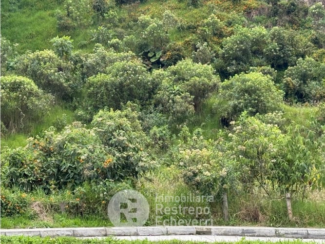 Lote en venta en Malteria, Manizales, 11925 m² · foto 4 de 4