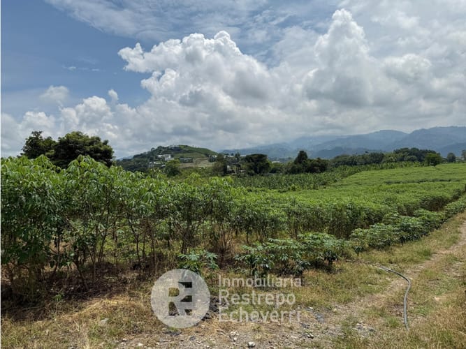Lote en venta en El Rosario, Manizales, 5000 m² · foto 3 de 3