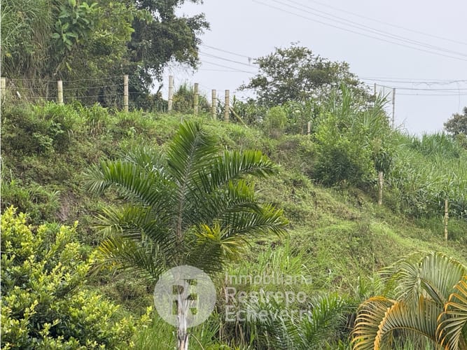 Lote en venta en Morrogacho, Manizales · foto 2 de 5