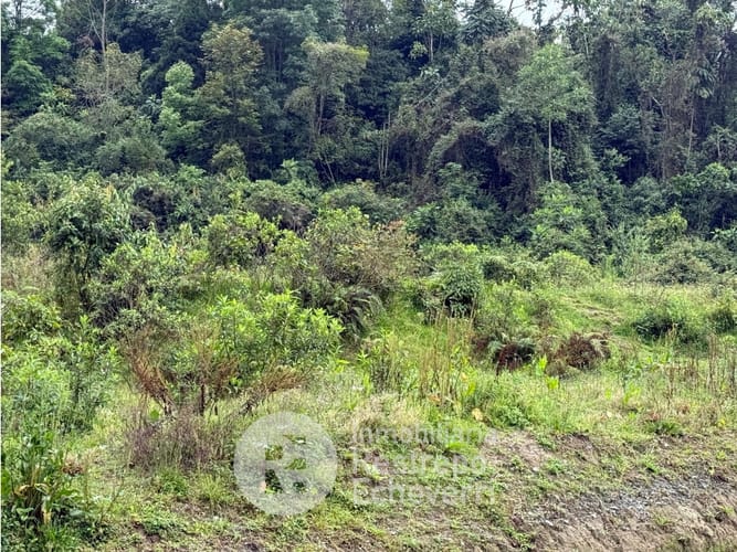 Lote en venta en Bosques Del Norte, Manizales, 12000 m² · foto 2 de 5