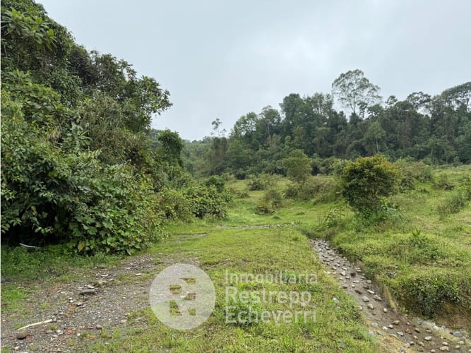 Lote en venta en Bosques Del Norte, Manizales, 12000 m² · foto 4 de 5