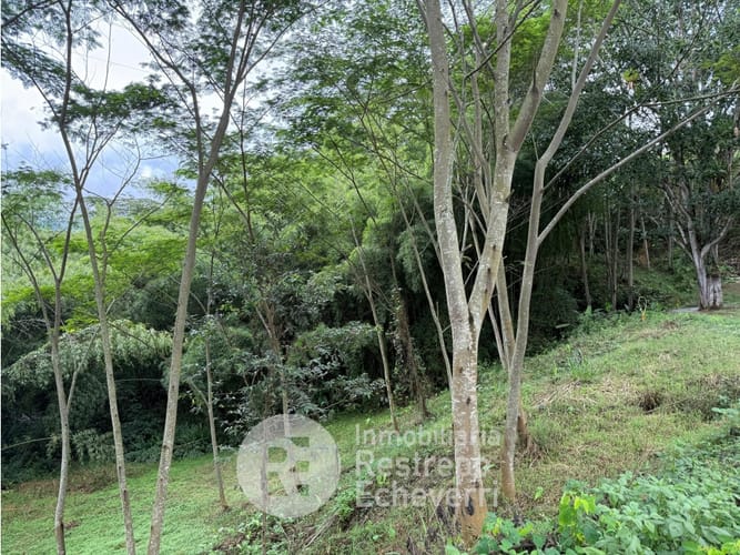 Lote en venta en El Rosario, Manizales, 1480 m² · foto 2 de 5