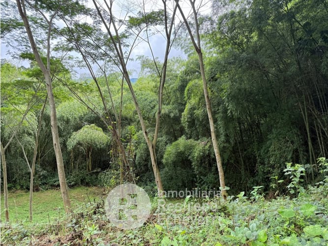Lote en venta en El Rosario, Manizales, 1480 m² · foto 3 de 5