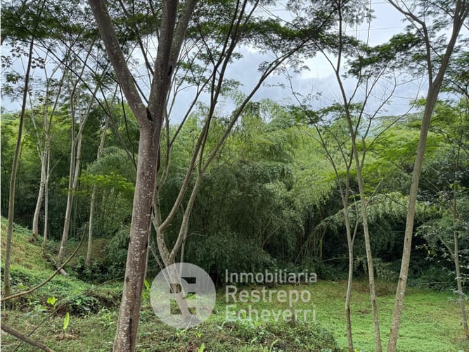Lote en venta en El Rosario, Manizales, 1480 m² · foto 4 de 5
