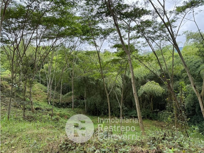 Lote en venta en El Rosario, Manizales, 1480 m² · foto 5 de 5