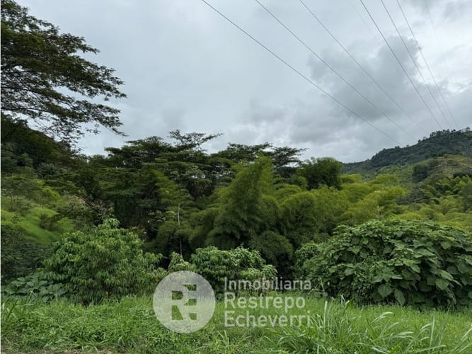 Lote en venta en El Rosario, Manizales, 2393 m² · foto 2 de 6