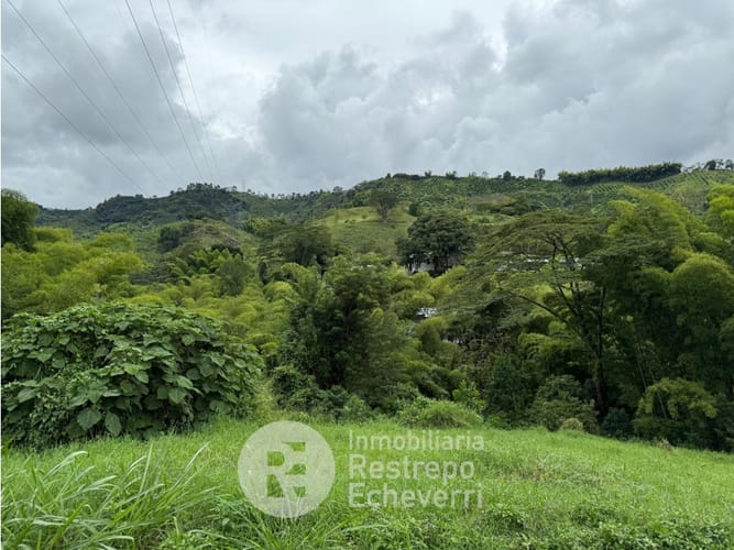 Lote en venta en El Rosario, Manizales, 2393 m² · foto 3 de 6