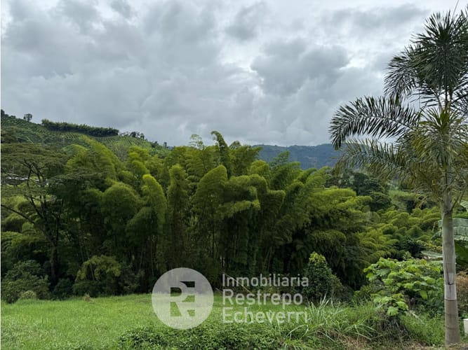 Lote en venta en El Rosario, Manizales, 2393 m² · foto 4 de 6