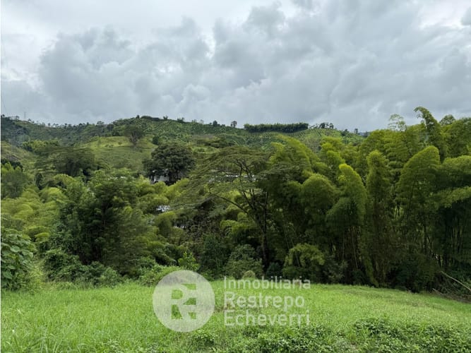 Lote en venta en El Rosario, Manizales, 2393 m² · foto 5 de 6