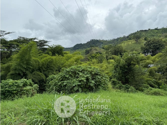 Lote en venta en El Rosario, Manizales, 2393 m² · foto 6 de 6