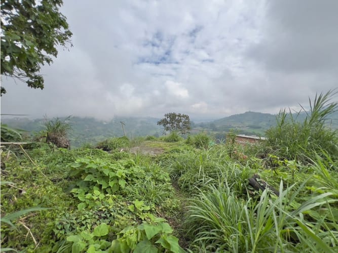 Lote en venta en Bajo Tablazo, Manizales, 2000 m² · foto 5 de 6