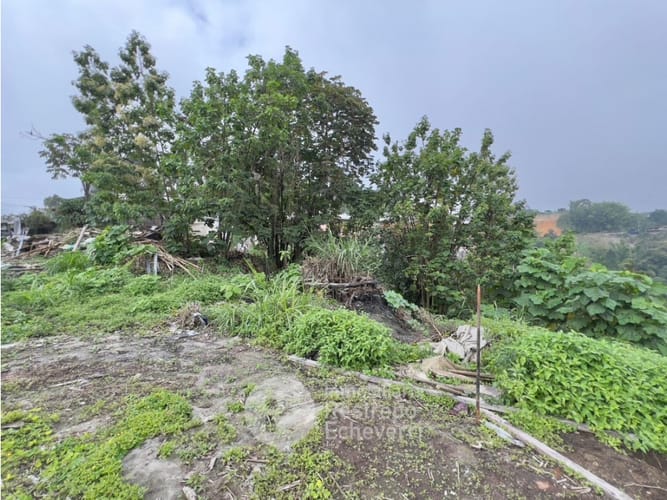 Lote en venta en Bajo Tablazo, Manizales, 2000 m² · foto 6 de 6