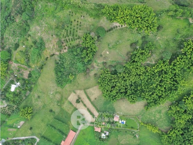 Lote en venta en El Rosario, Manizales, 68755 m² · foto 5 de 7