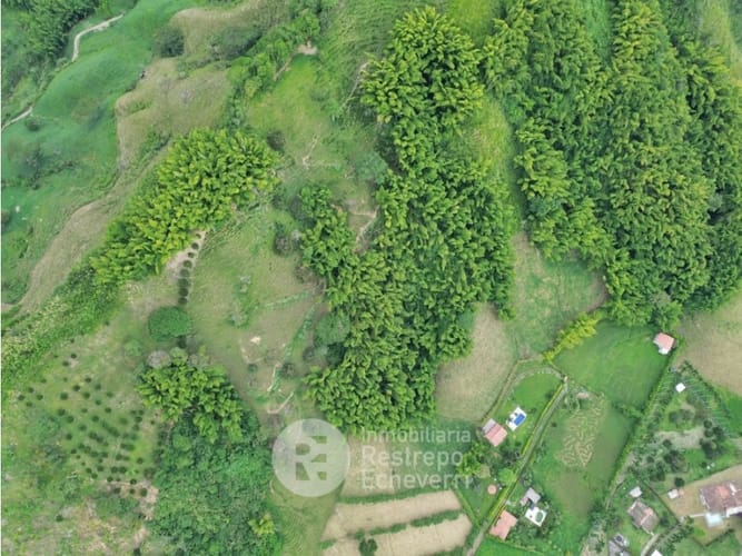 Lote en venta en El Rosario, Manizales, 68755 m² · foto 6 de 7