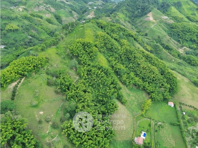 Lote en venta en El Rosario, Manizales, 68755 m² · foto 7 de 7