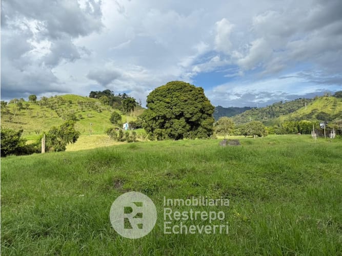 Lote en venta en El Rosario, Manizales, 11500 m² · foto 2 de 9